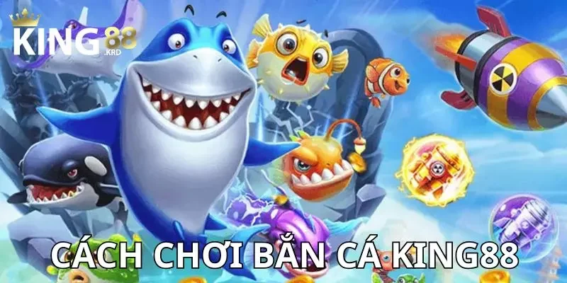 Cách chơi bắn cá Cách chơi bắn cá cho newbie tham khảo