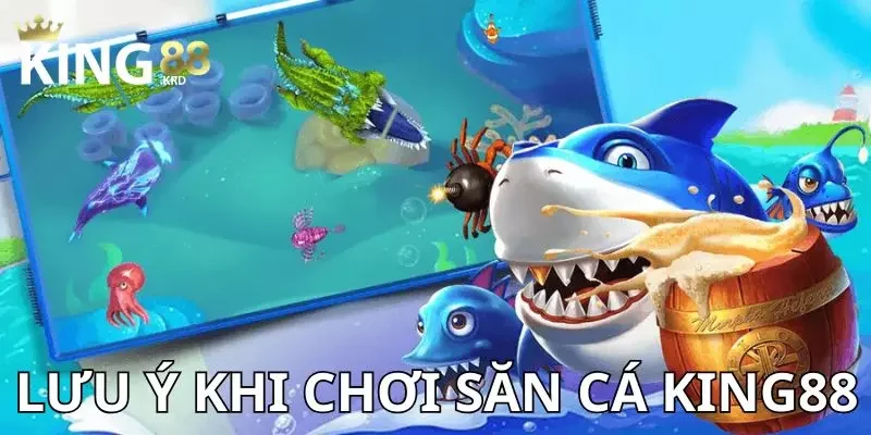 Cách chơi bắn cá Lưu ý khi chơi săn cá để tránh rủi ro